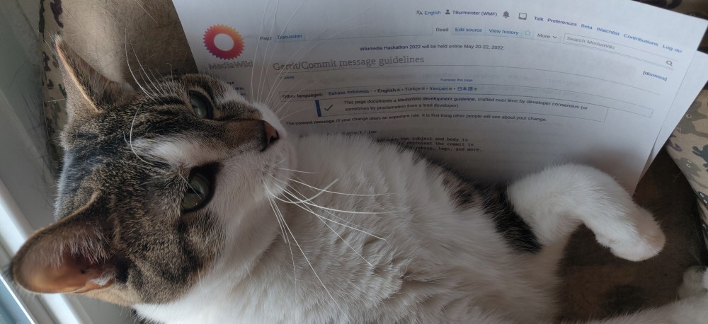 a cat is reading the Gerrit commit message guidelines on MediaWiki.org